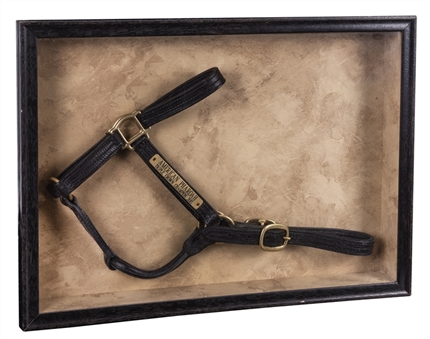 2015 American Pharoah Training Used Halter - Used After His Historic Win At The Belmont Stakes (Bob Baffert LOA) 